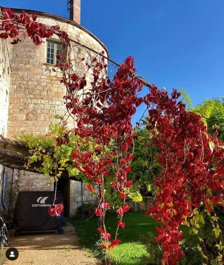 Cote-Serein La Privilege De La Tour Madame Noyers-sur-Serein Exterior photo